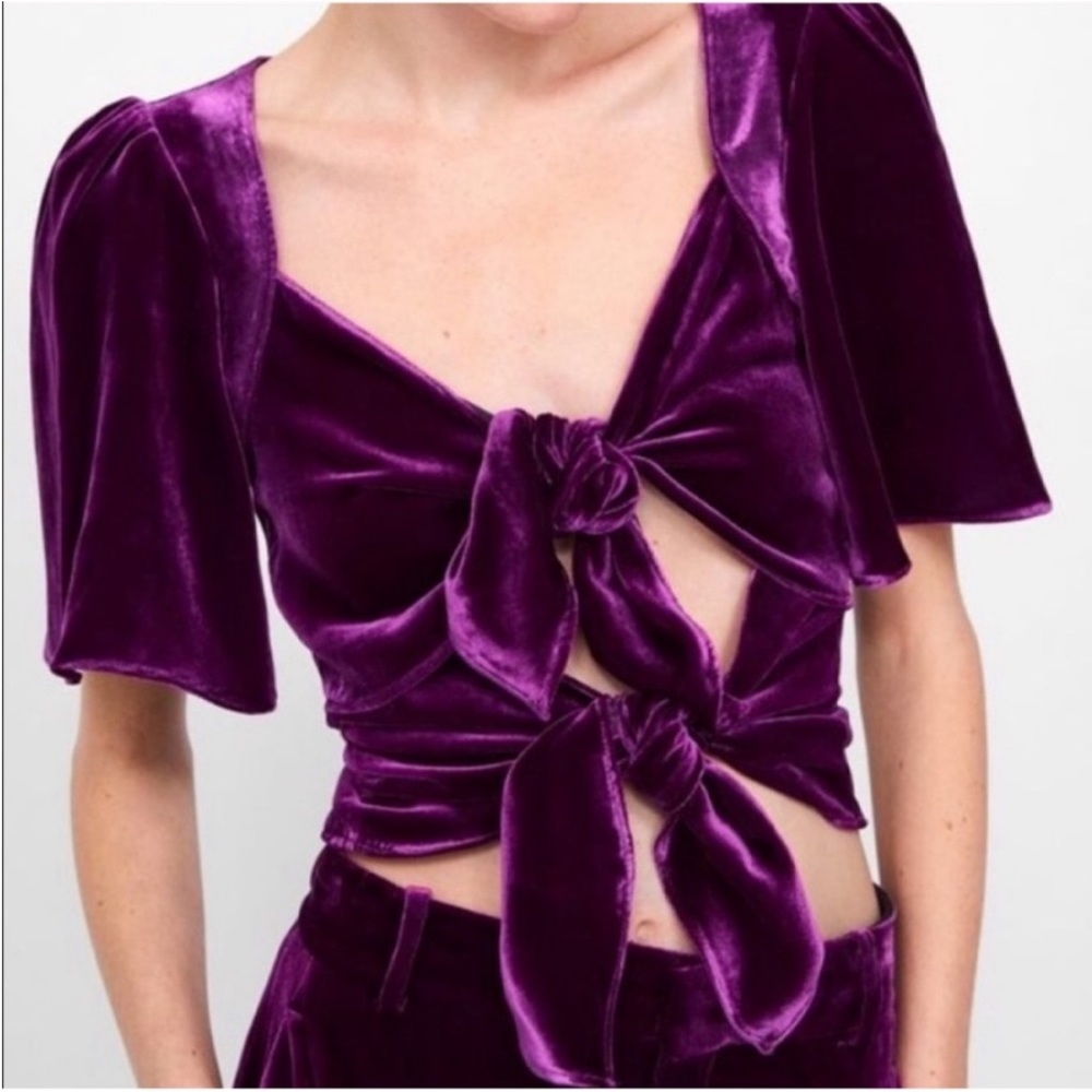 NWT Zara Plum Velvet Silk Tie Front Crop Top Sz XS